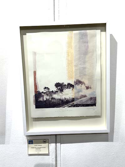 museo León Semperé