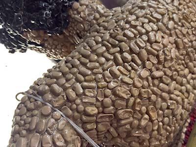 museo León Semperé